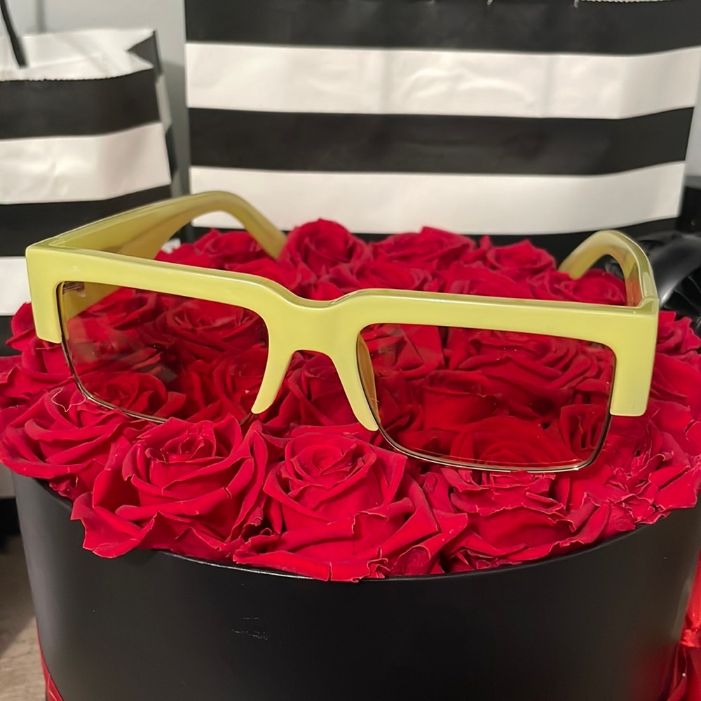 NIB Ferragamo Sunglasses